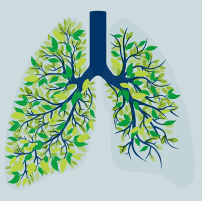 lung_repair_regeneration_card