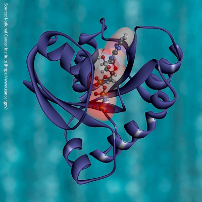 protein_degraders_card protein_degraders_card