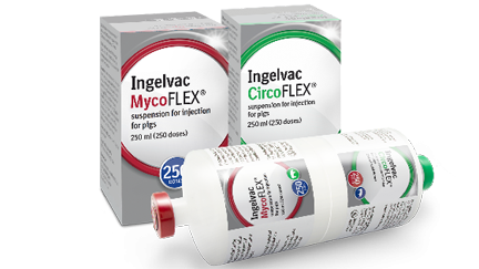 Packshots Ingelvac Mycoflex Ingelvac Circoflex_0 Packshots Ingelvac Mycoflex Ingelvac Circoflex_0