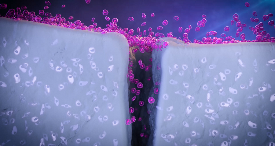 Stem_cells_a_new_frontier001 Stem_cells_a_new_frontier001