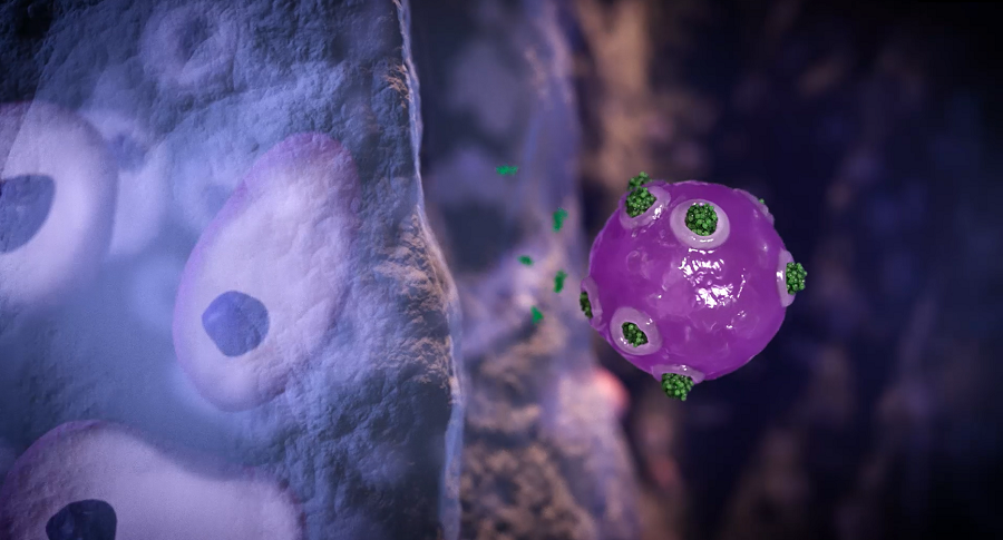 Stem_cells_a_new_frontier002 Stem_cells_a_new_frontier002