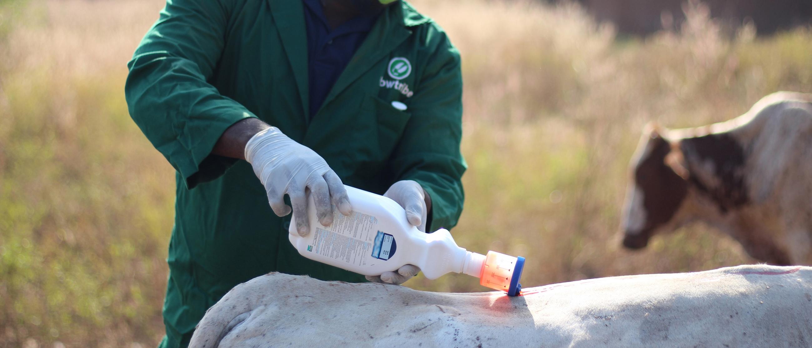 This_ensures_food_security_for_one_year_001