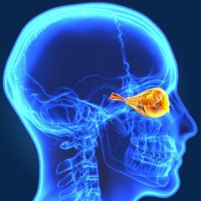 retinal_health_card