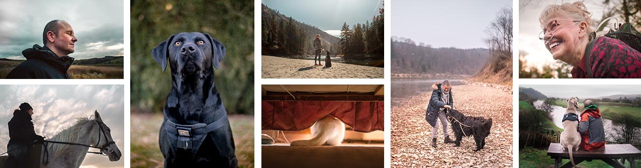 独一无二的情感纽带：人类与动物的健康