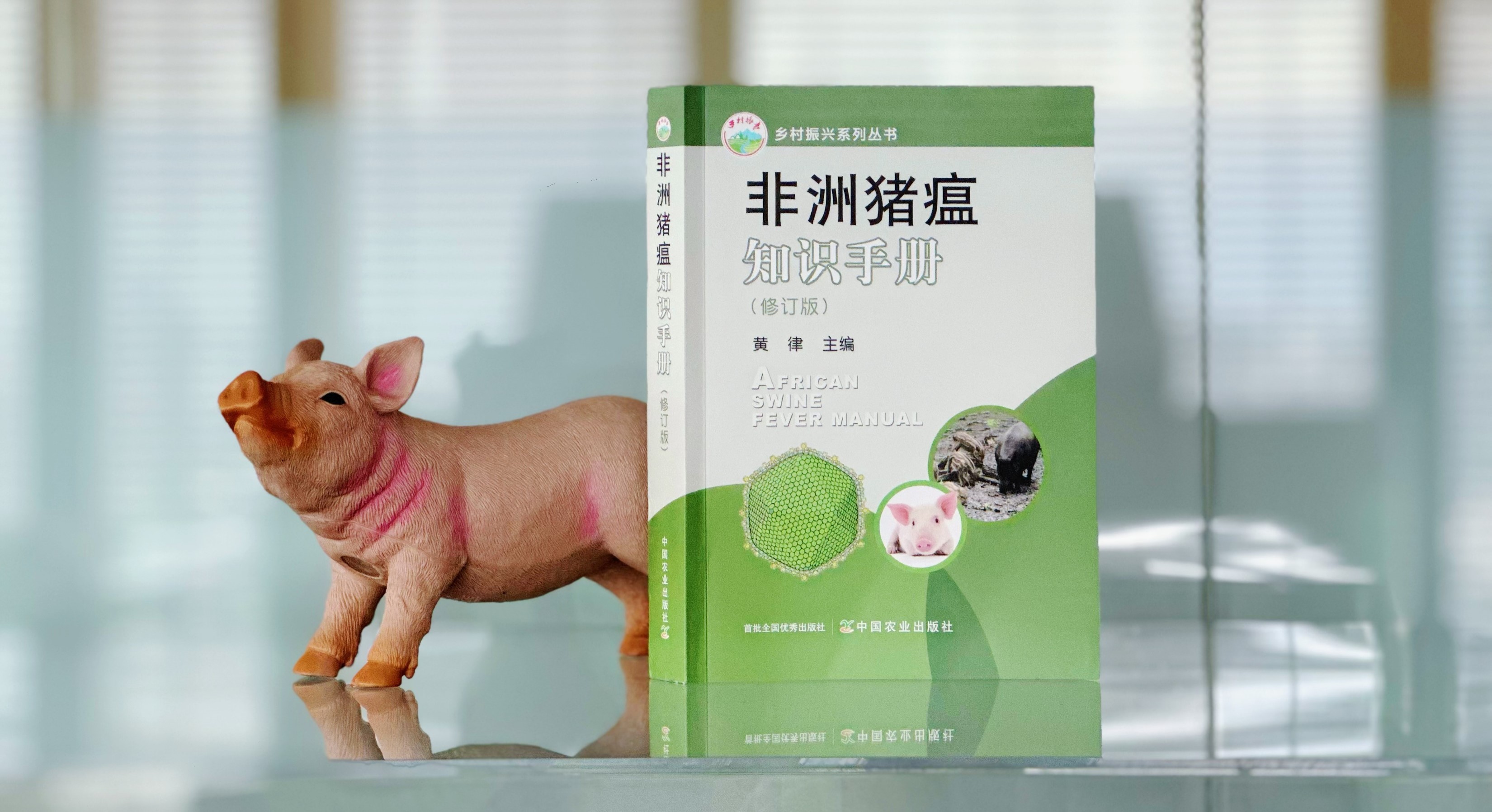 知识手册