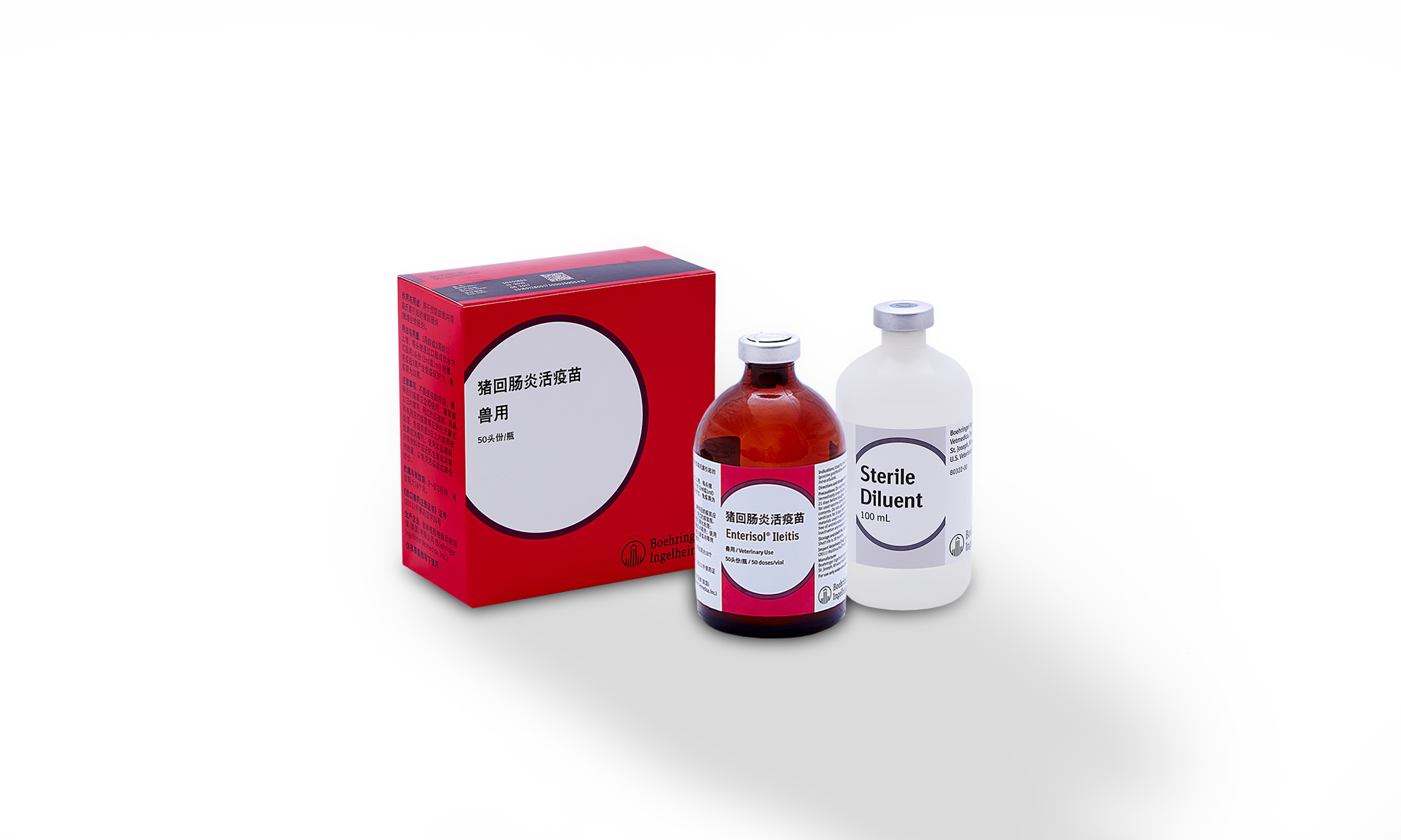猪回肠炎活疫苗