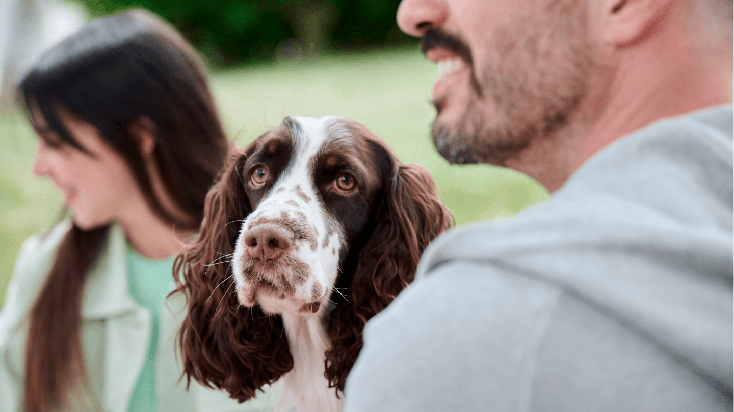 动物也受到照顾