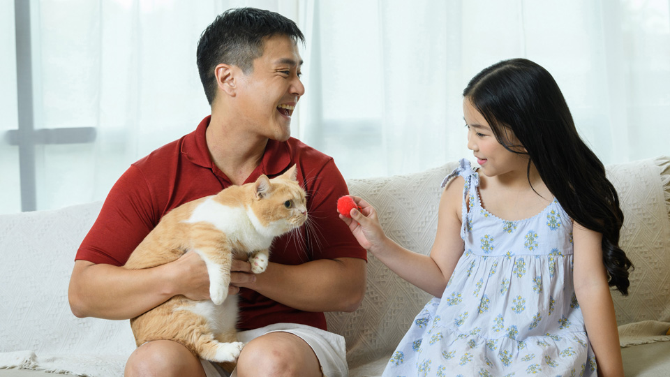 父亲和女儿坐在沙发上与他们的猫咪玩耍