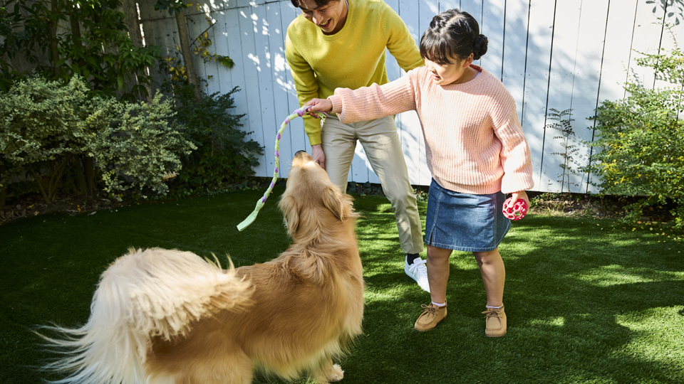 Father and daughter playing with dog in the yard