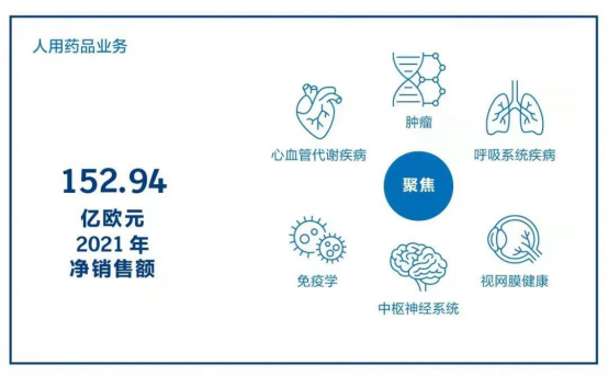 2021年度业绩1