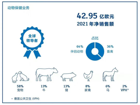 2021年度业绩2