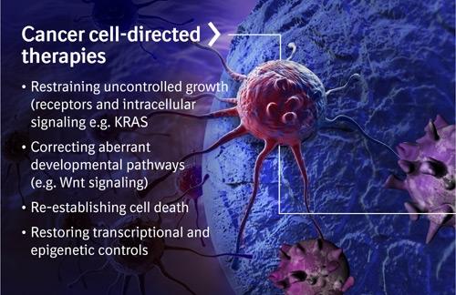 cancer_cell-directed_therapies