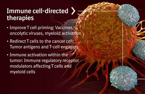 immune_cell-directed_therapies