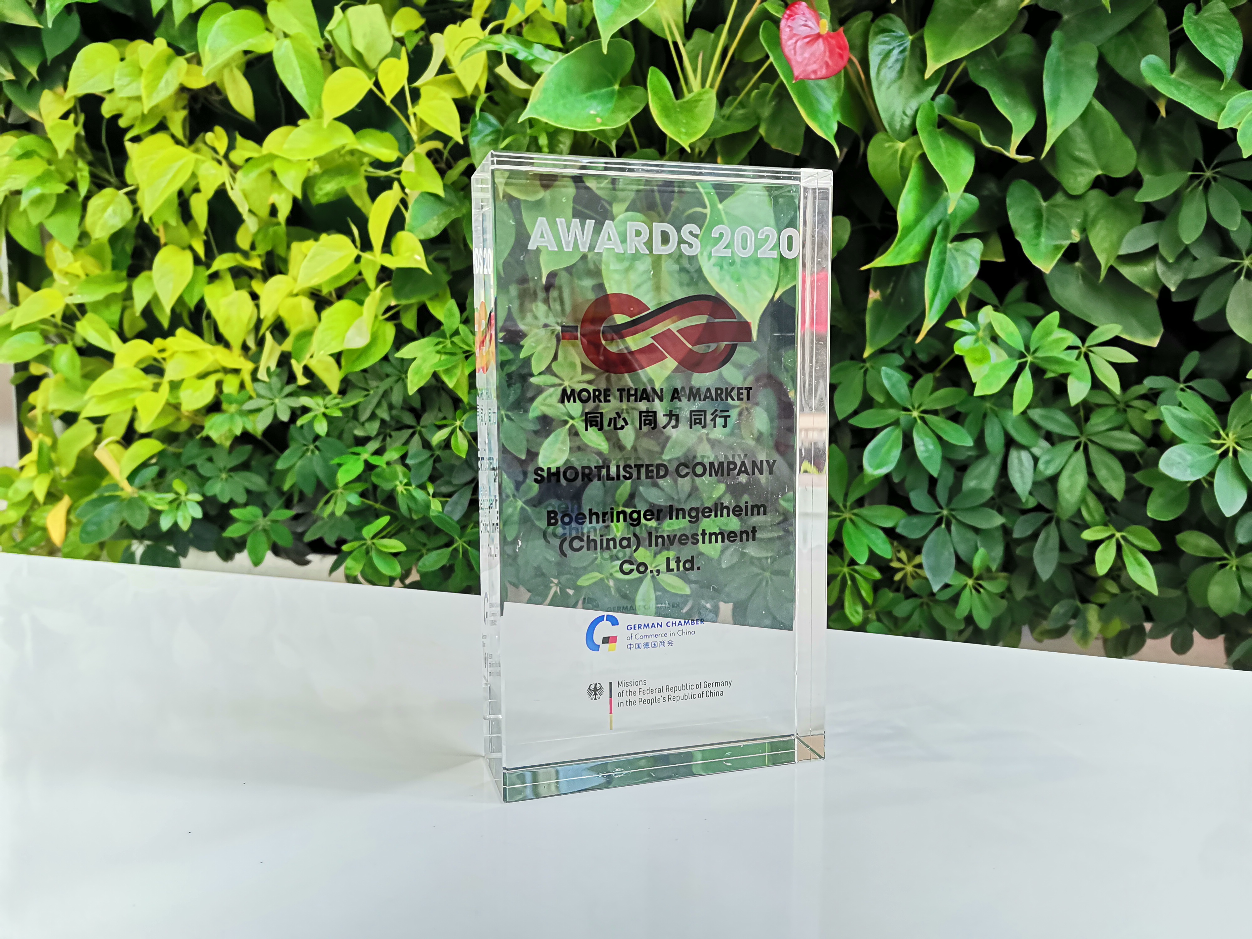 中国:抗击非洲猪瘟的生物安全 China More than a Market Award.jpg